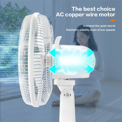 Ventilateur sur Pied Rechargeable AC/DC 16 pouces avec Panneau Solaire et 2 Ampoules LED